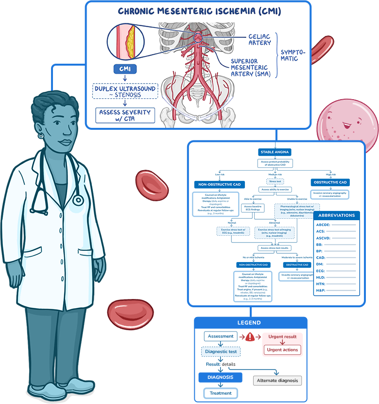 doctor with CMI video screenshot with a decision-making tree