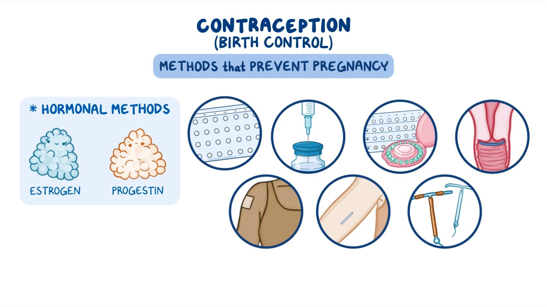 Contraception Clinical Video Anatomy WILTOT