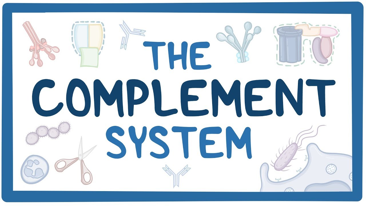 complement system osmosis complement cascade