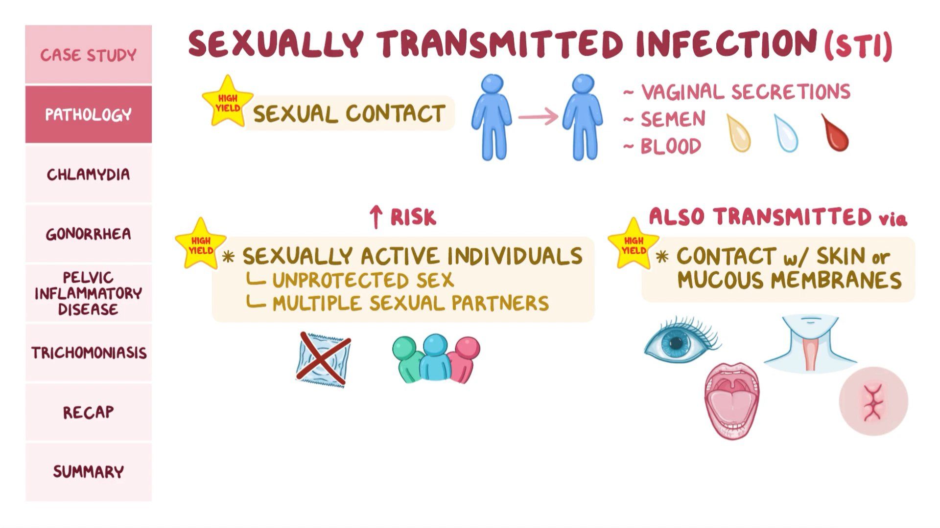 Sexually Transmitted Infections Vaginitis And Cervicitis 44 OFF