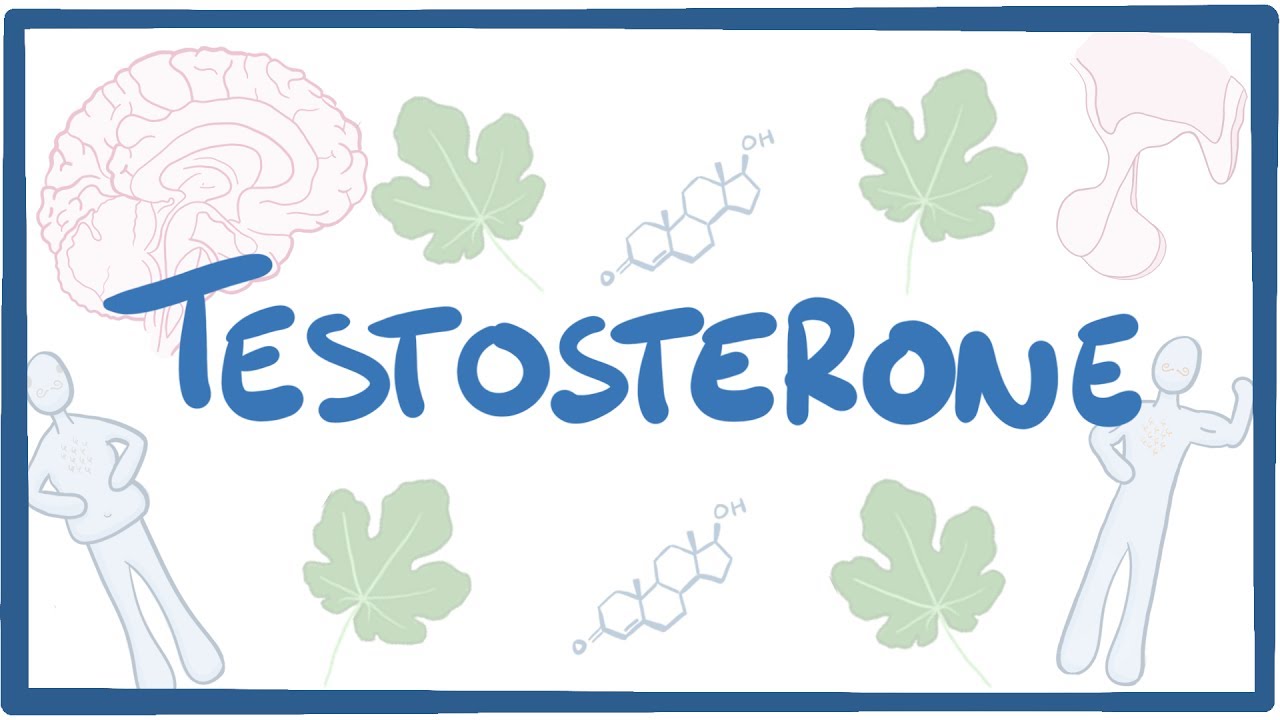 Transseksualizm va testosteron