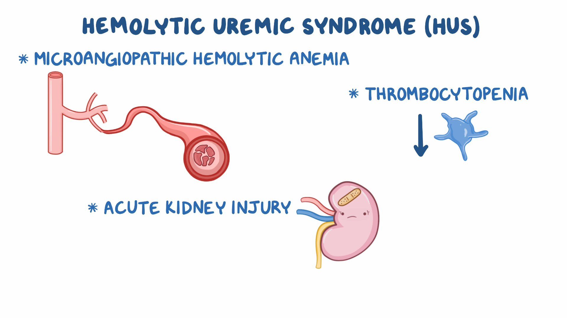 Hemolytic Uremic Syndrome Nursing Osmosis Video Library Hemolytic Uremic Syndrome Nursing Osmosis Video Library