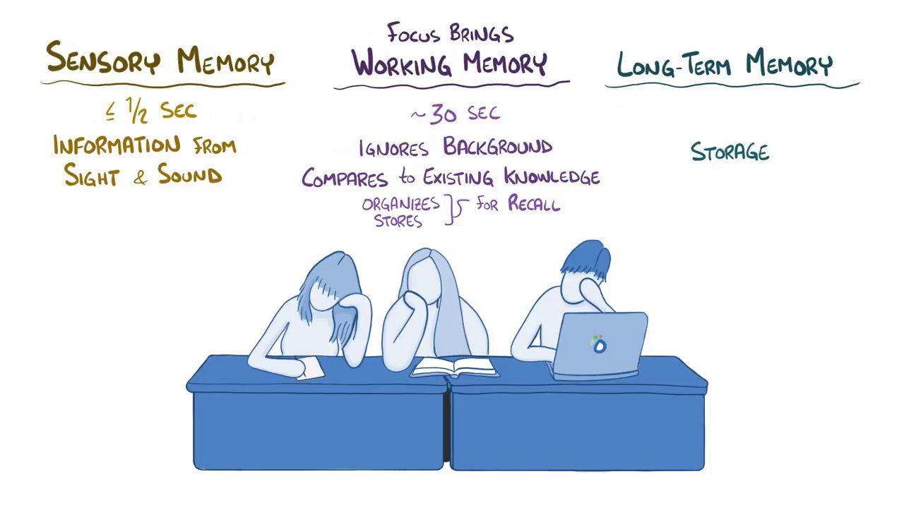 Osmosis Animation Interactive