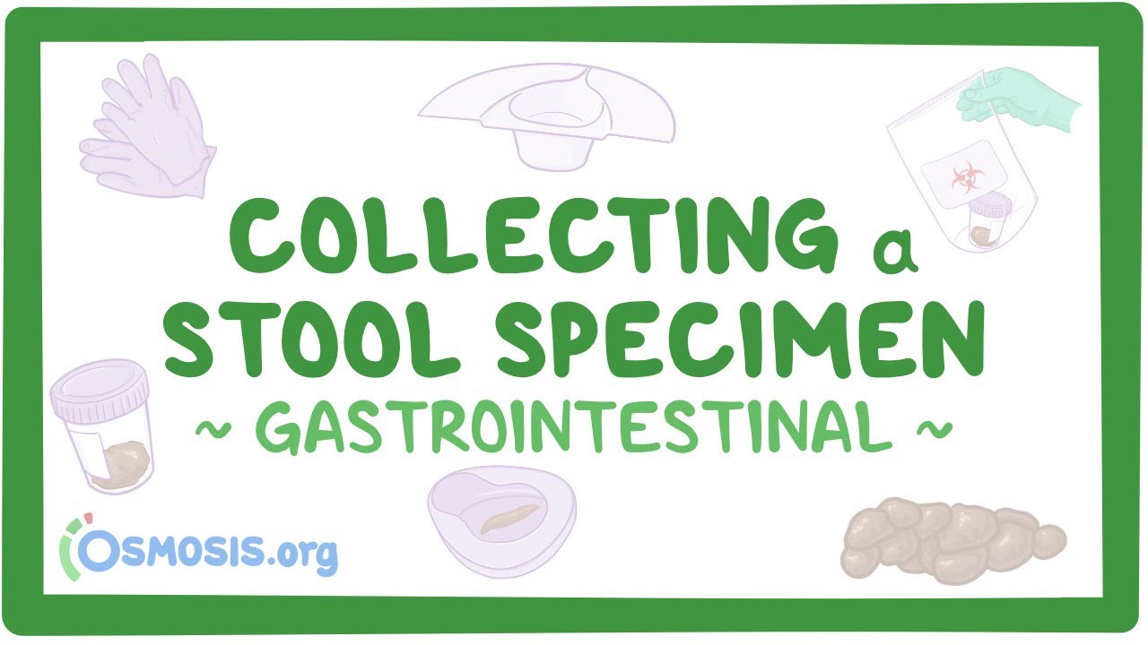 Gastrointestinal Collecting a stool specimen (for nursing assistant