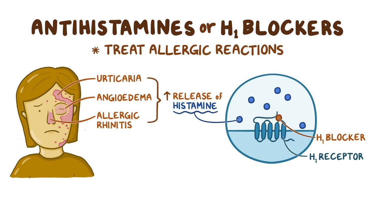 Histamine And Antihistamines Pharmacology Animation 55 OFF