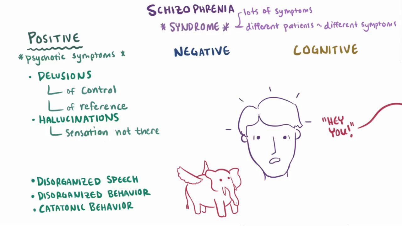 Schizophrenia Video Anatomy Definition Function Osmosis