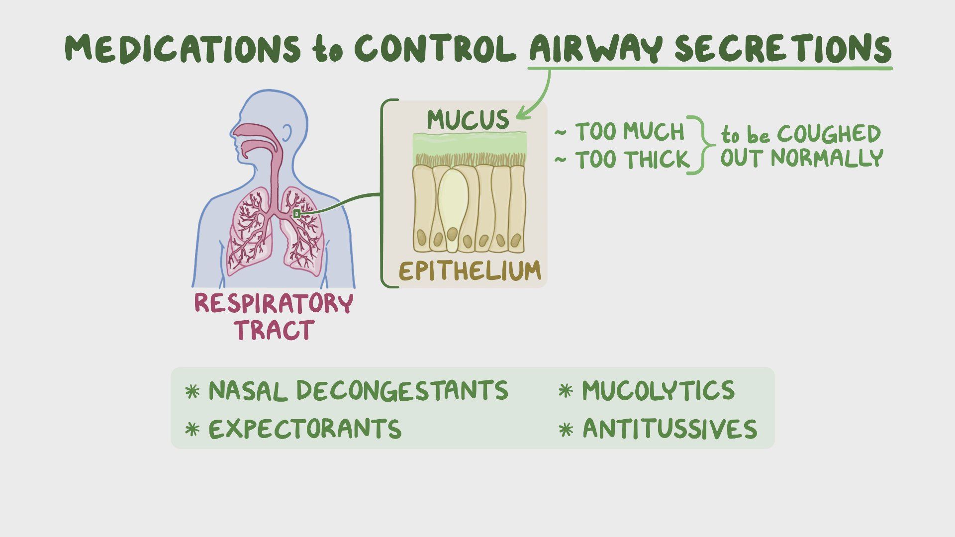 Medications To Control Airway Secretions Nursing Pharmacology 