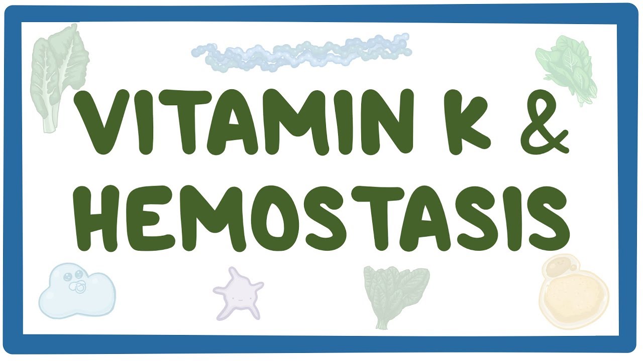 Role of Vitamin K in coagulation Osmosis Video Library