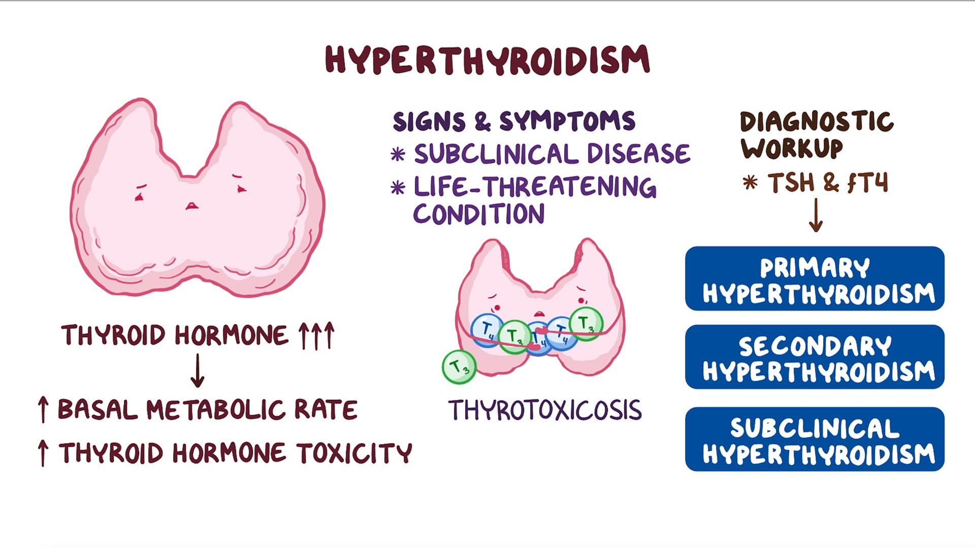 Approach to hyperthyroidism and thyrotoxicosis Clinical sciences