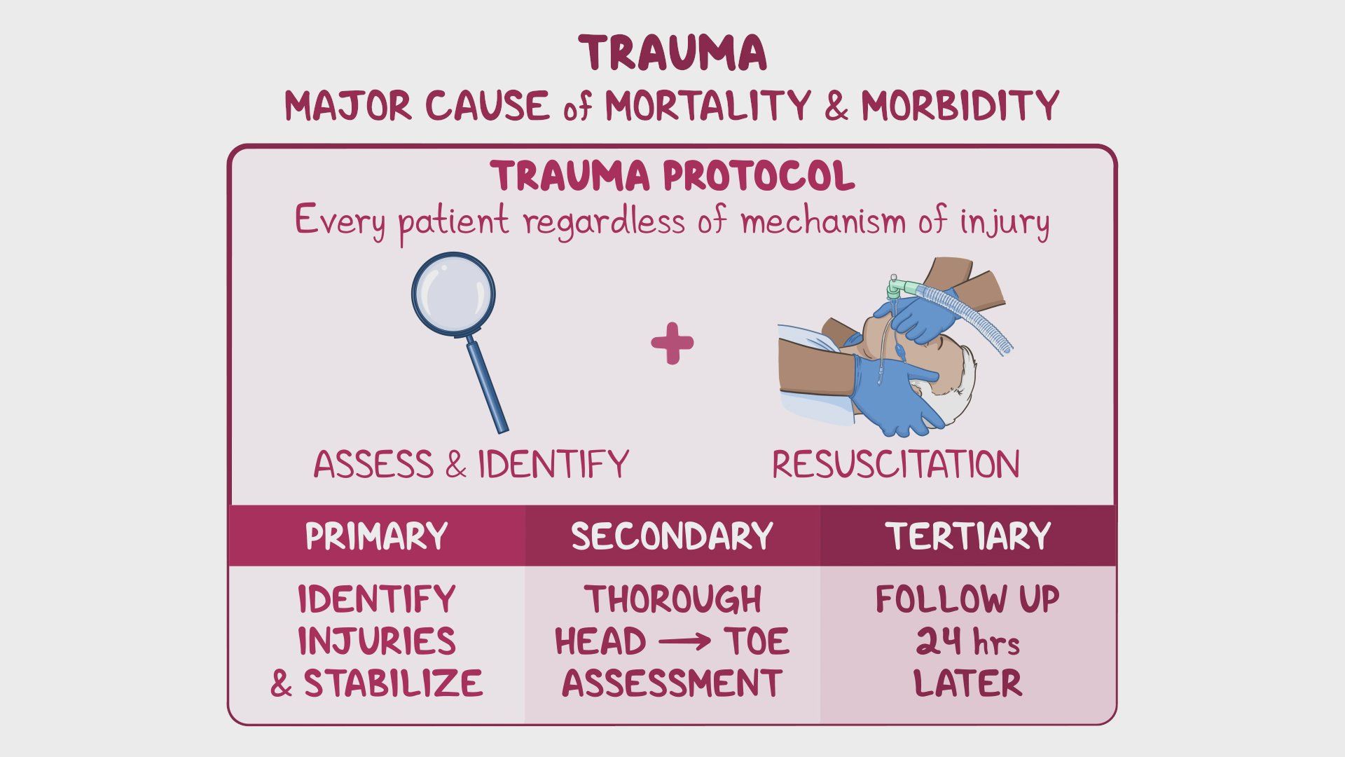 健康・医学 Trauma: An Osteopathic Approach Trauma: An Osteopathic Approach — Eastland Press