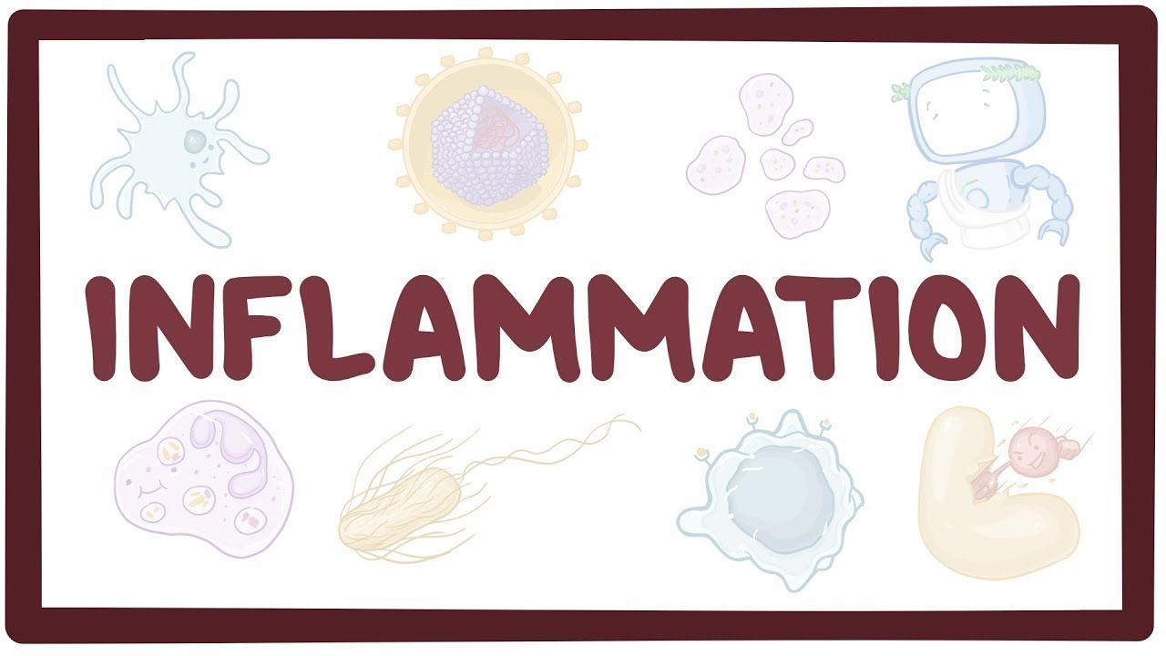 Inflammation Video, Anatomy, Definition & Function Osmosis